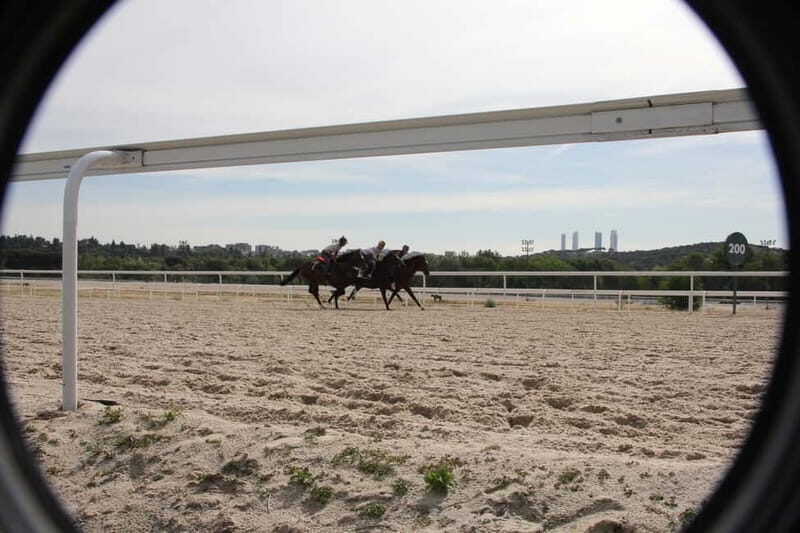 Madrid: Zarzuela's Racecourse Guided Tour - Madrid: Zarzuela’s Racecourse Guided Tour