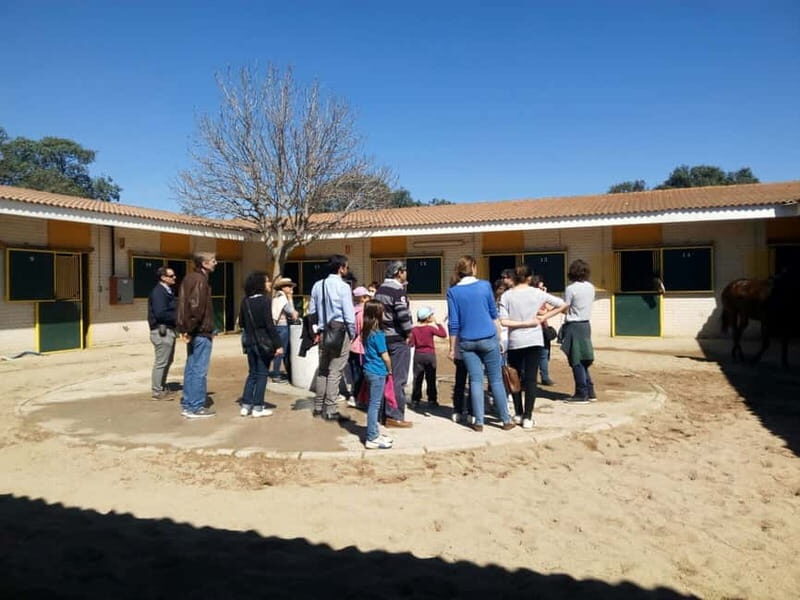 Madrid: Zarzuela's Racecourse Guided Tour - The Tour Itself: Structure and Value