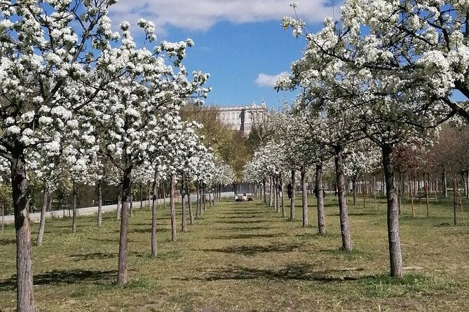 madrids-golden-age-history-along-the-manzanares-river