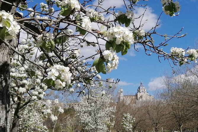madrids-golden-age-history-along-the-manzanares-river