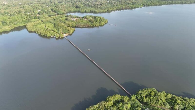 Madu River Boat Cruise & Cinnamon Garden All Inclusive Tour - Madu River Boat Cruise & Cinnamon Garden All Inclusive Tour — A Complete Guide