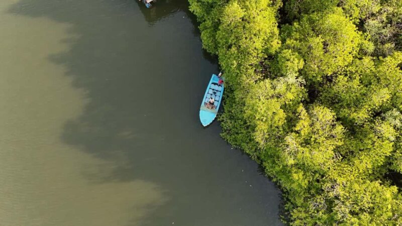 Madu River Boat Cruise & Cinnamon Garden All Inclusive Tour - Key Points