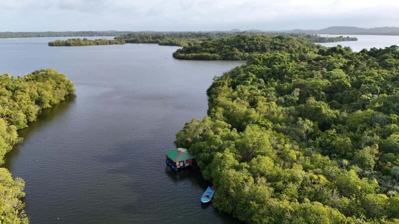 Madu River Boat Cruise & Cinnamon Garden All Inclusive Tour - Practical Details