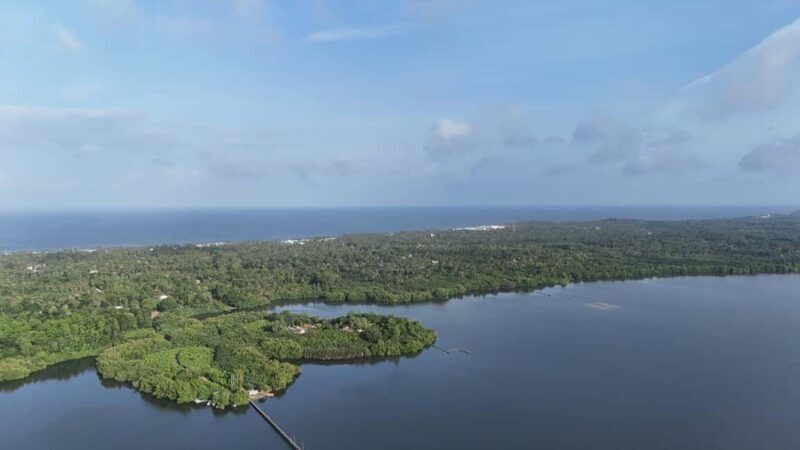 Madu River Boat Cruise & Cinnamon Garden All Inclusive Tour - Authentic Insights From Travelers