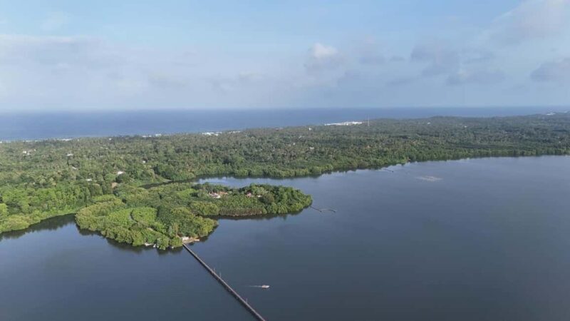 Madu River Boat Cruise & Cinnamon Garden All Inclusive Tour - Who Should Consider This Tour?