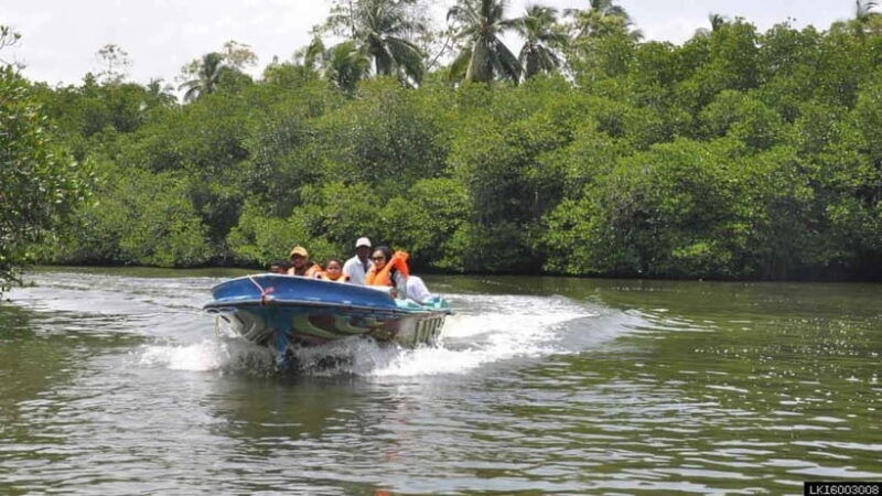 madu-river-boat-safari-a-journey-through-natures-paradise