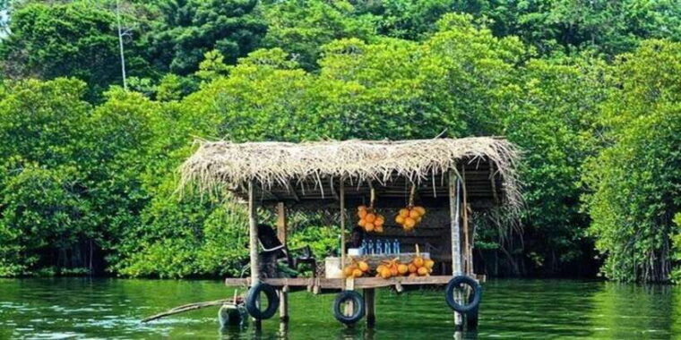 madu-river-boat-safari-a-journey-through-natures-paradise