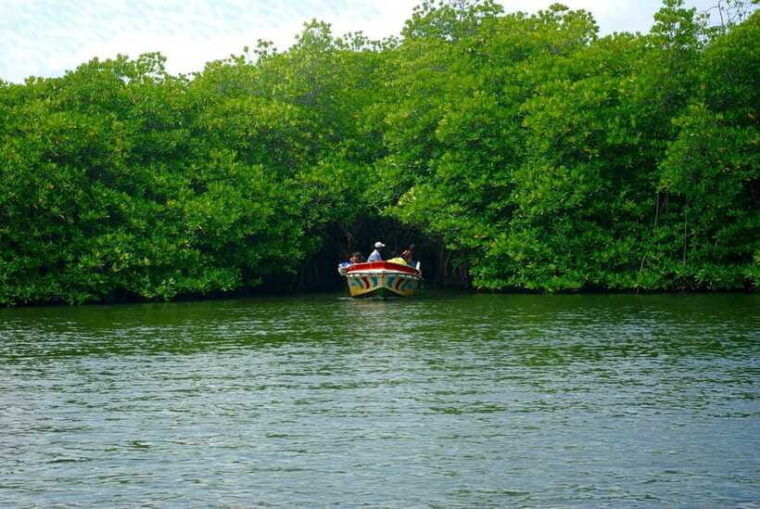 madu-river-boat-safari-a-journey-through-natures-paradise