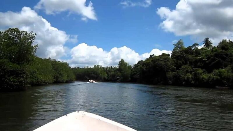 Madu River Boat Safari and Tuk-Tuk Tour Pickup & Drop-off - Frequently Asked Questions