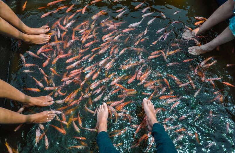 madu-river-boat-safari