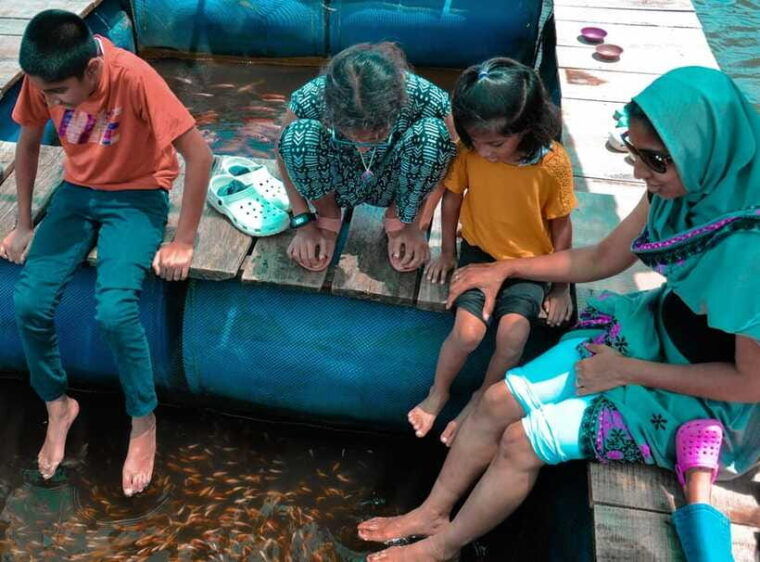 madu-river-boat-safari