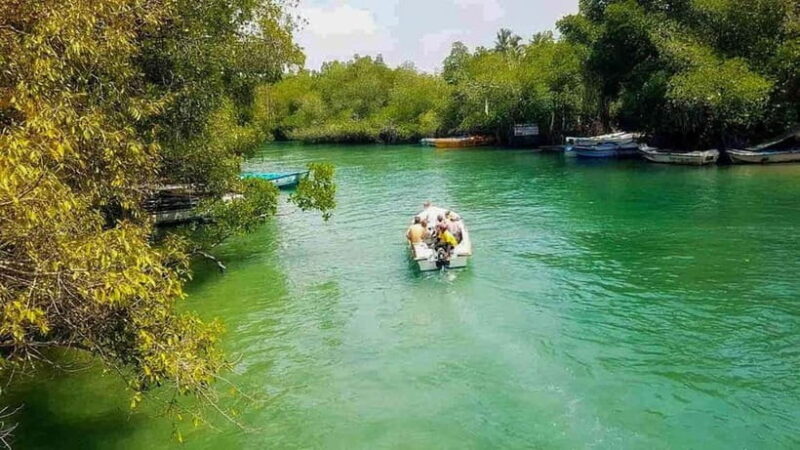 Madu River Boat Tour and Cinnamon Garden visit - Discover the Peaceful Charm of the Madu River Boat Tour and Cinnamon Garden Visit