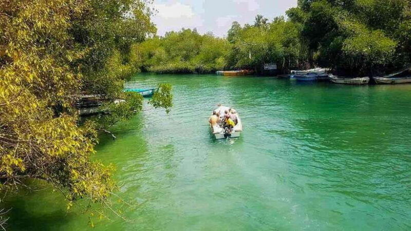 madu-river-boat-tour-scenic-madu-ganga-boat-safari