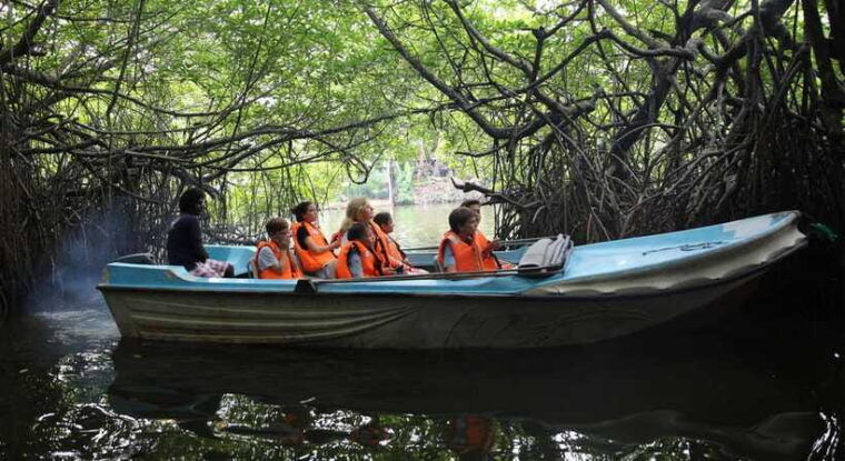 madu-river-boat-tour-scenic-madu-ganga-boat-safari