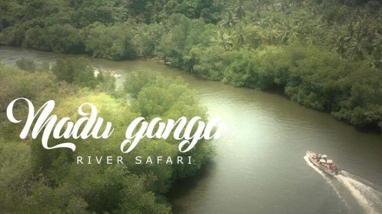 madu-river-boat-tour-scenic-madu-ganga-boat-safari