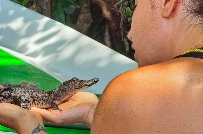 Madu River Safari from Hambantota - FAQ