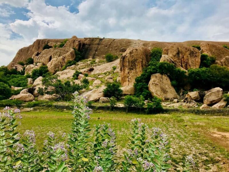 Madurai: Madurai 2-Day Tour with Meenakshi Temple Darshan - An Introduction to the Tour Experience