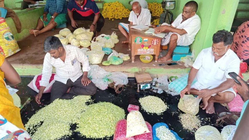 Madurai: Private Guided Day Tour  Highlights & Hidden Gems - Key Points