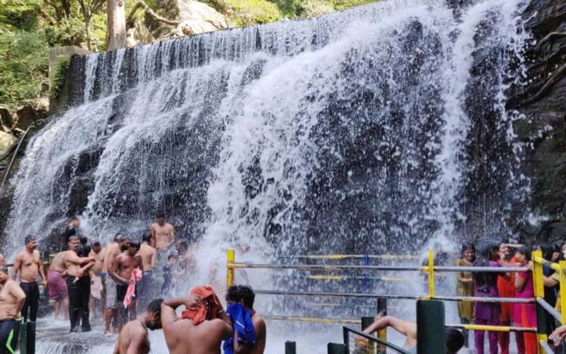 Madurai to Grapes Garden, Vaigai Dam & Suruli Falls Day Tour - Key Points