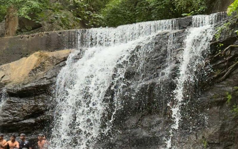 Madurai to Grapes Garden, Vaigai Dam & Suruli Falls Day Tour - FAQ