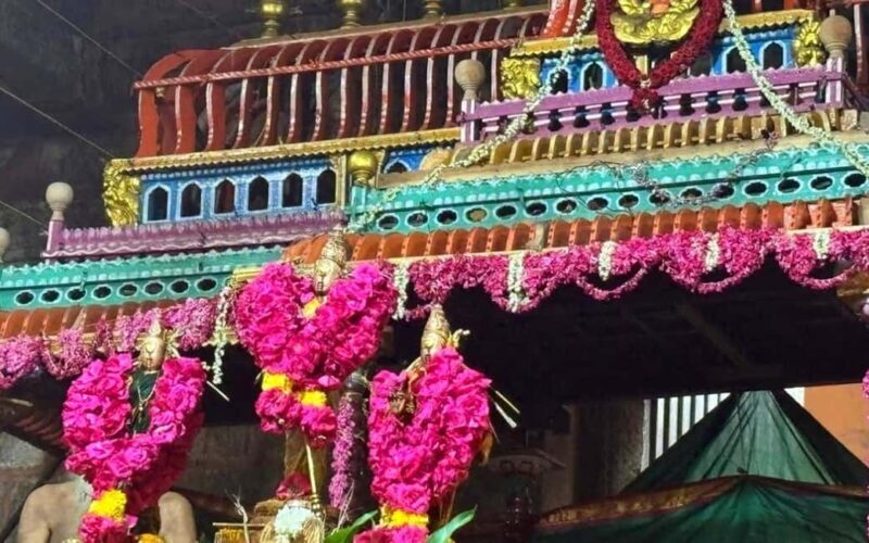 Madurai to Navagraha One Day Temple Tour - Who Should Consider This Tour?