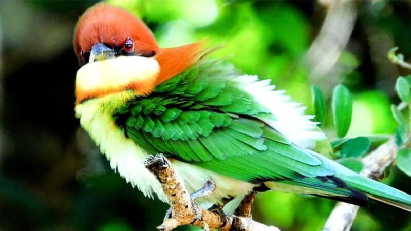 Maduru Oya National Park Private Safari - What the Tour Looks Like