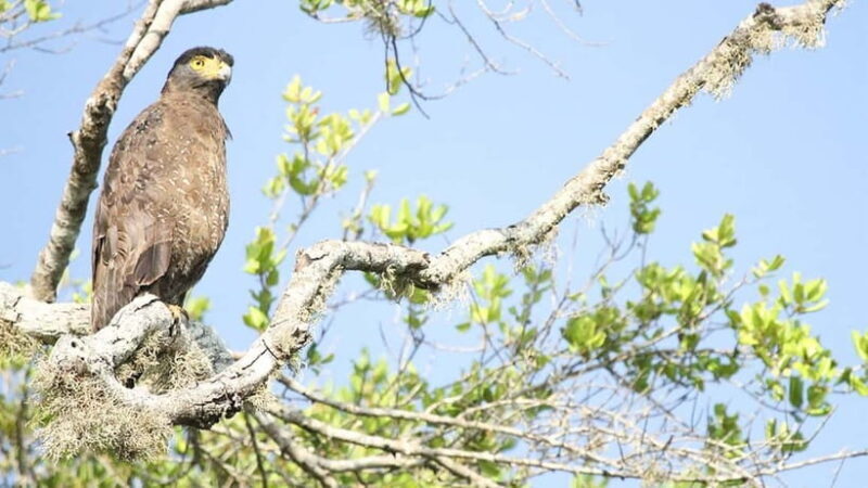 Maduru Oya National Park Private Safari - What Sets It Apart