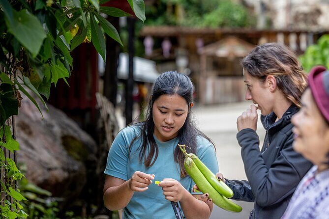 Mae Kampong Cooking Class Hike Forage and Feast - Who Will Love This Tour
