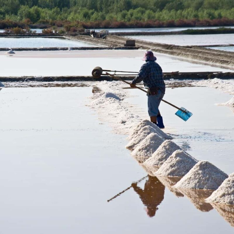 Maeklong Railway market, Floating Market, and Salt Lake Tour - A Closer Look at the Tour