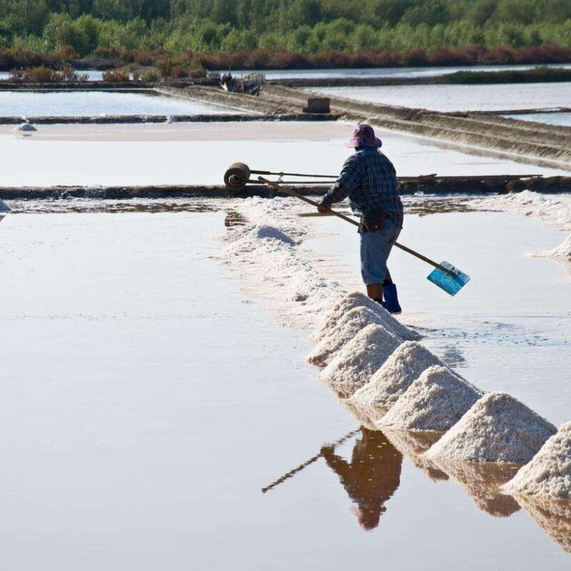 maeklong-railway-market-floating-market-and-salt-lake-tour