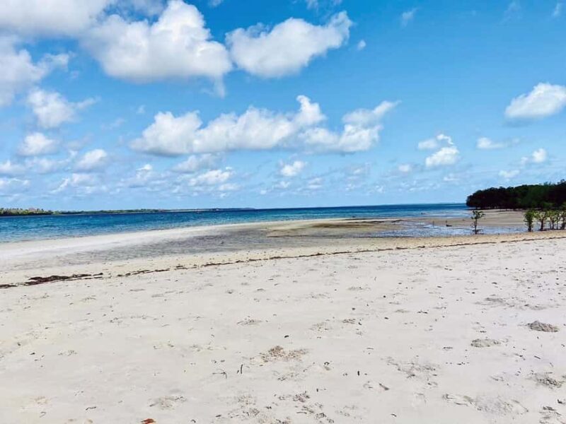 Mafia Island: Marine Park Sandbank Tour with Snorkeling - Snorkeling Experience