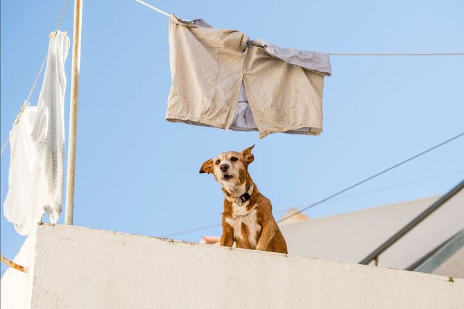 mafra-and-queluz-palaces-private-tour-with-tickets