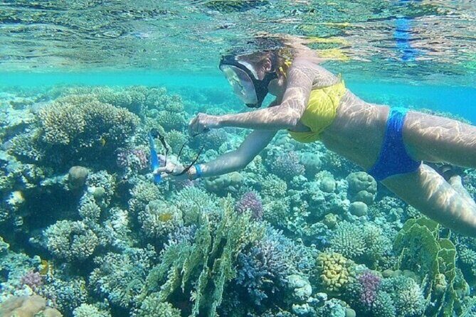 Magawish Island Trip, Snorkeling, Turkish Bath & Lunch  Hurghada - The Sum Up