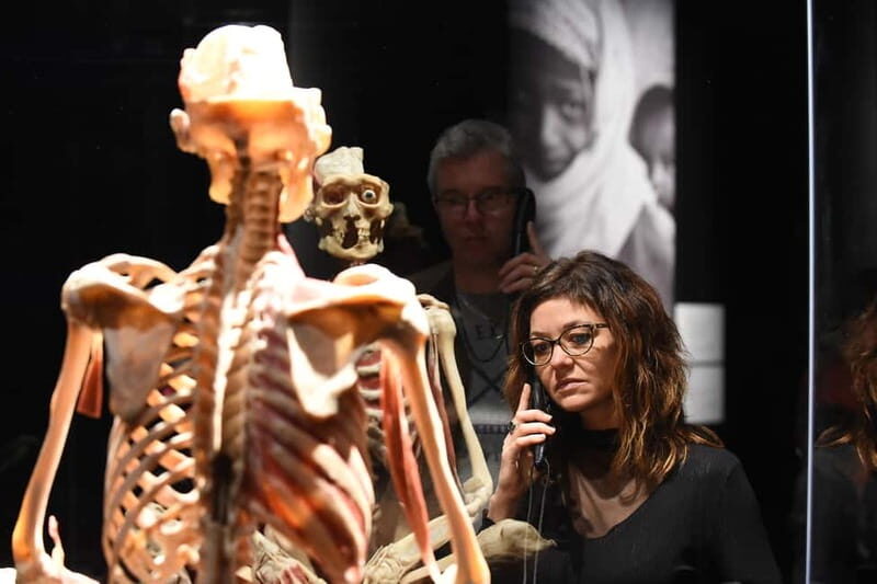 Magdeburg: Ticket for the BODY WORLDS exhibition - The Experience: What to Expect at the BODY WORLDS Exhibition