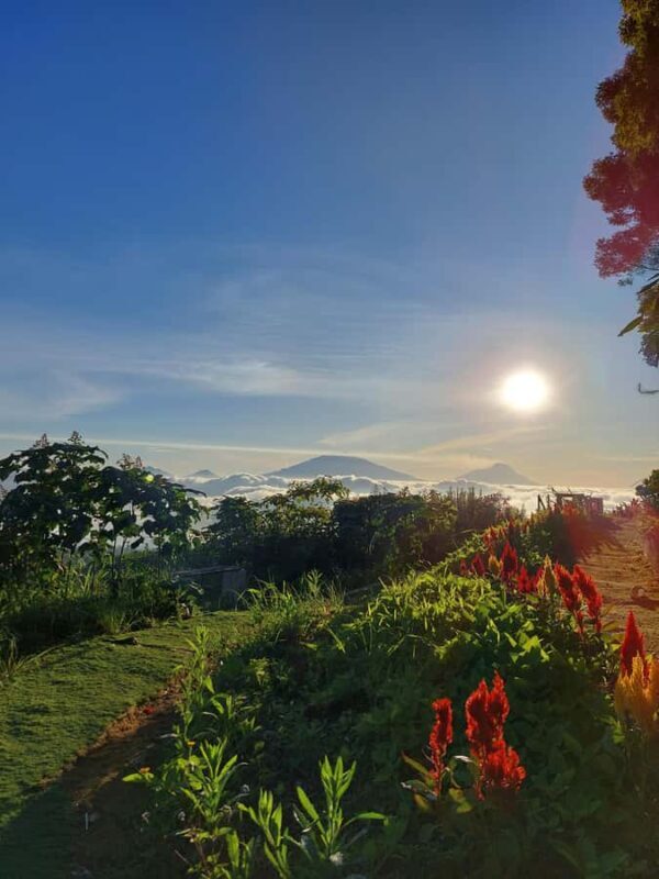 Magelang: Silancur Highland Sunrise & Sukomakmur Tour - Who Should Consider This Tour?