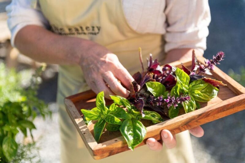 Maggie Beer's Farm Hands-on Cooking School and Lunch - What Reviewers Say