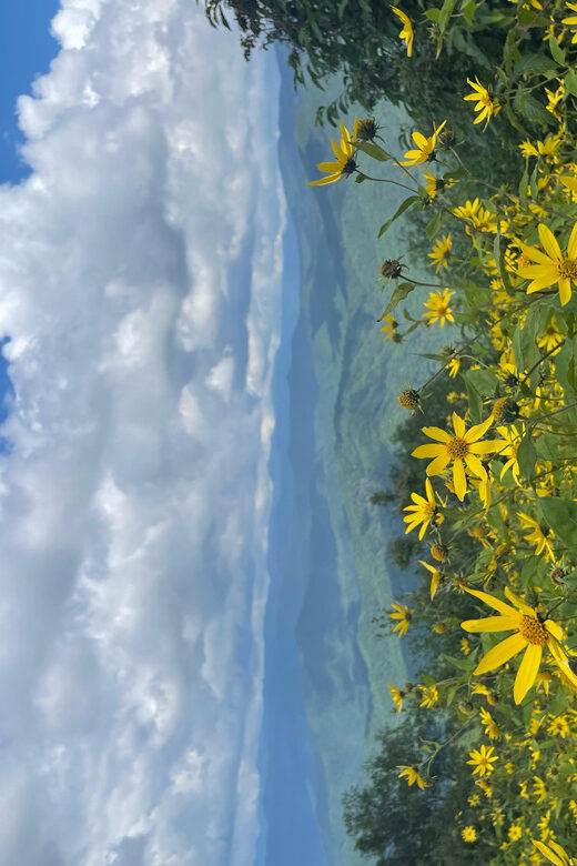 Maggie Valley: Guided Safari Jeep Mile-High Adventure - An Authentic Mountain Adventure