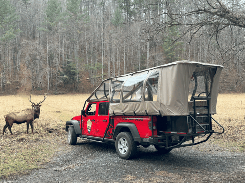 maggie-valley-guided-safari-jeep-mile-high-adventure