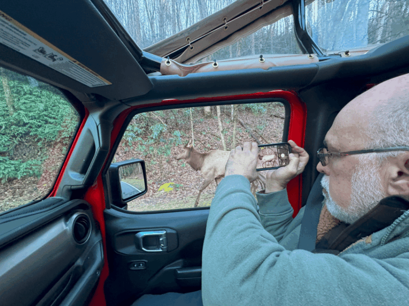 maggie-valley-guided-safari-jeep-mile-high-adventure