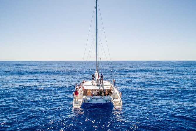 Magic Dolphin Celebrity - Exploring Madeira by Land and Sea with Magic Dolphin Celebrity