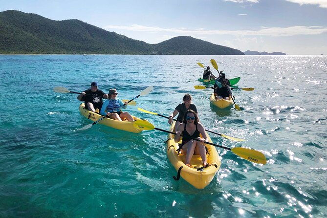 magic-mangrove-paddle-in-beef-island-lagoon