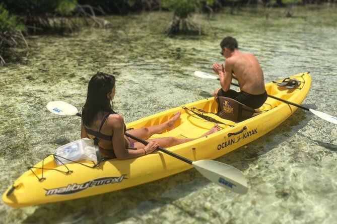 magic-mangrove-paddle-in-beef-island-lagoon