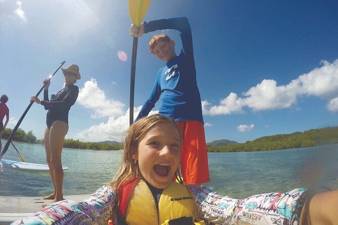 magic-mangrove-paddle-in-beef-island-lagoon