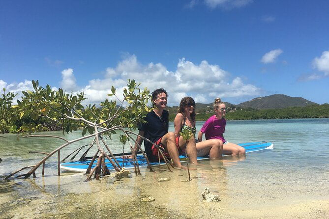 magic-mangrove-paddle-in-beef-island-lagoon