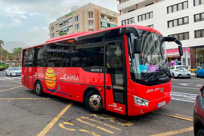 magic-stargazing-sunset-in-teide-with-dinner-telescopes
