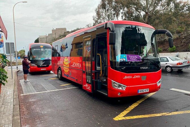 magic-stargazing-sunset-in-teide-with-dinner-telescopes