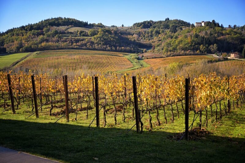 Magic Tuscany Tour - Final Thoughts