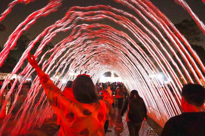 magic-water-circuit-tour