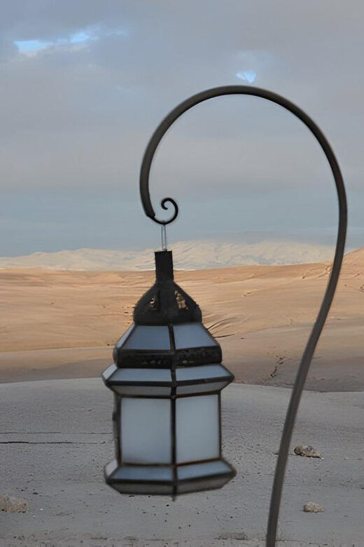 Magical Agafay : Camel Ride & Dinner show - The Value of the Experience