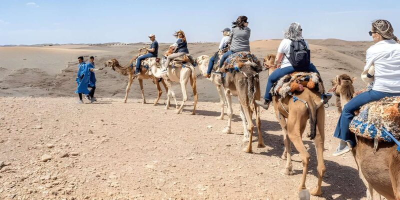 Magical Agafay : Camel Ride & Dinner show - Final Thoughts